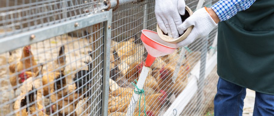 OA辦公系統(tǒng)